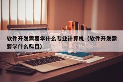 软件开发需要学什么专业计算机(软件开发需要学什么科目)