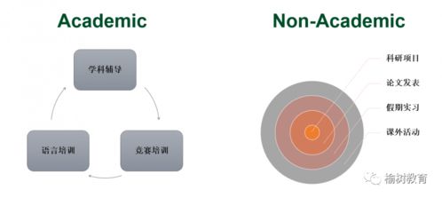 榆树国际教育精英导航计划